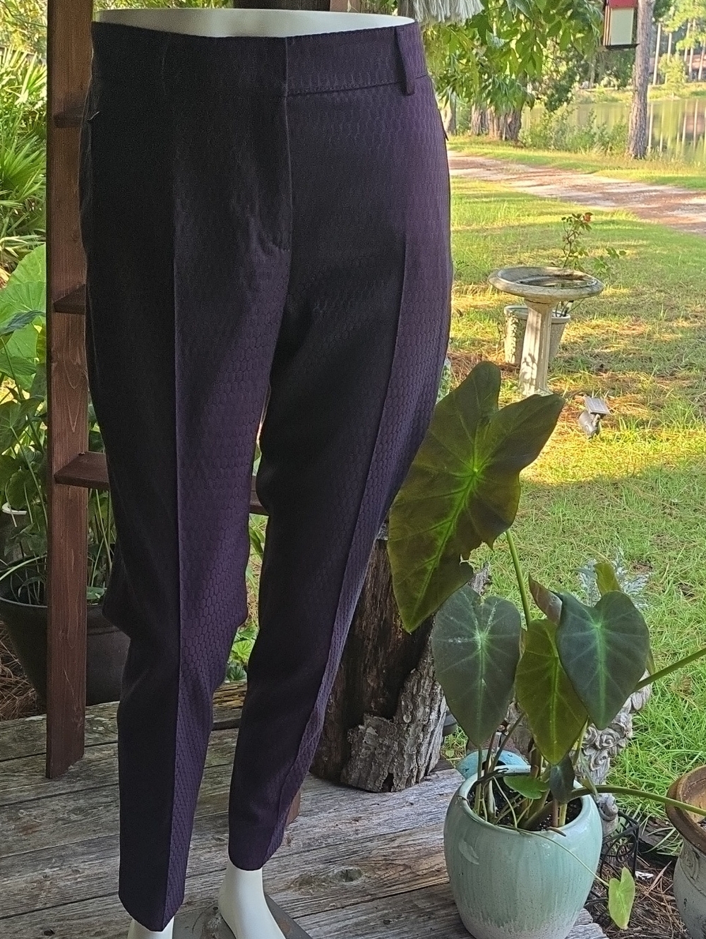 Akris Punto Purple With Blue Abstract Dots Pant Size 10